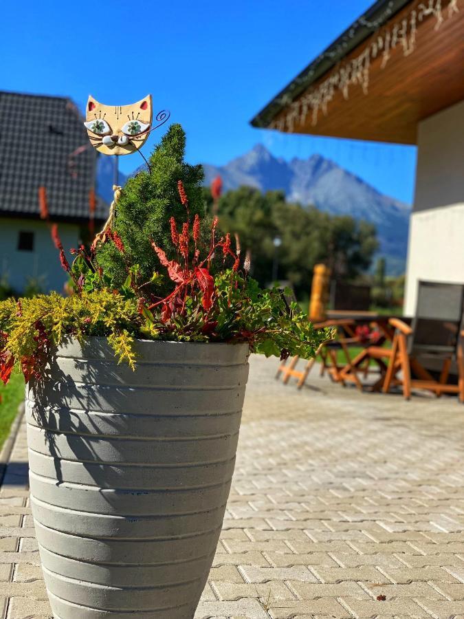 Villa Zoja High Tatras Стара Лесна Екстер'єр фото